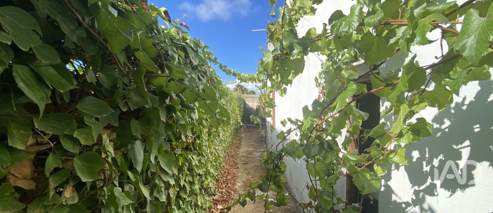 Terreny de 650 m² a Chiclana de la Frontera (11130)