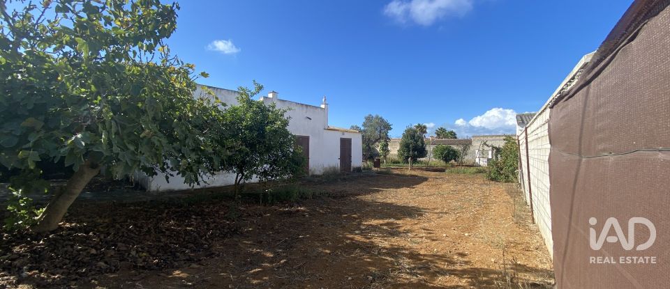 Terreny de 650 m² a Chiclana de la Frontera (11130)