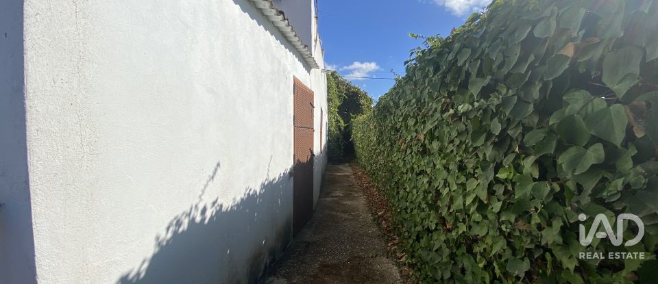 Terreny de 650 m² a Chiclana de la Frontera (11130)