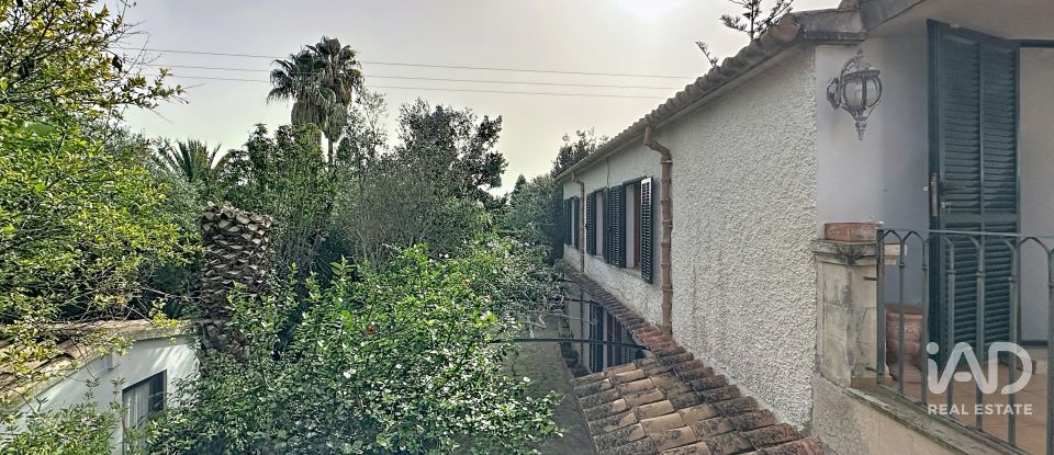 Casa de muntanya 6 habitacions de 550 m² a Base Aeria de Pollença (07470)