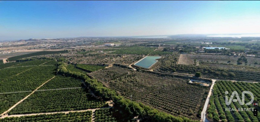 Land of 41,570 m² in Algorfa (03169)