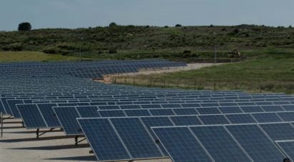 Land of 41,570 m² in Algorfa (03169)