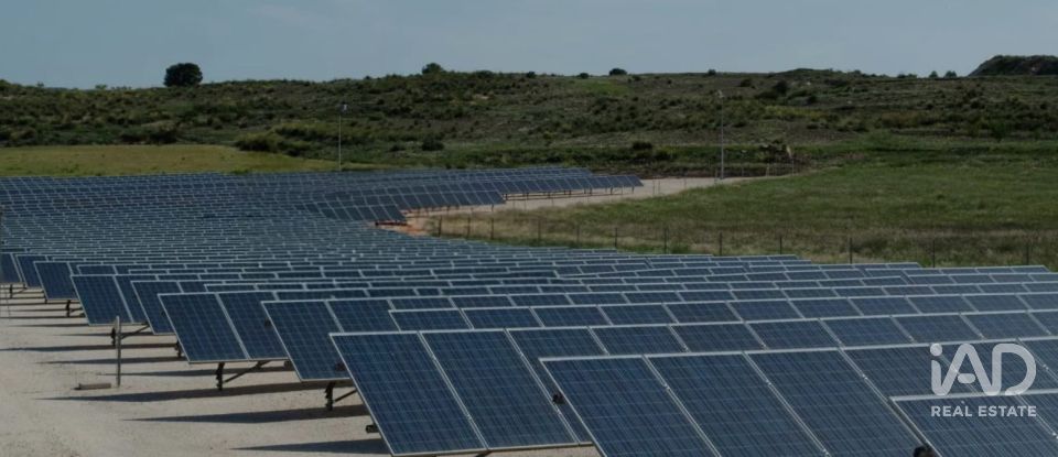 Land of 41,570 m² in Algorfa (03169)