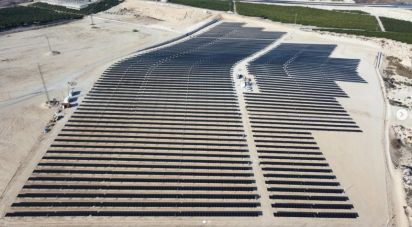 Land of 41,570 m² in Algorfa (03169)