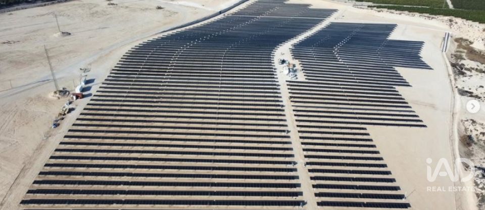 Land of 41,570 m² in Algorfa (03169)