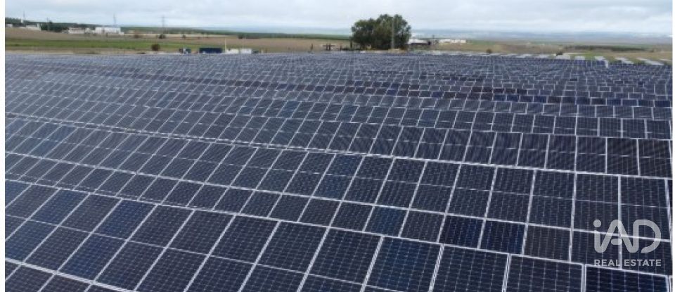 Land of 41,570 m² in Algorfa (03169)