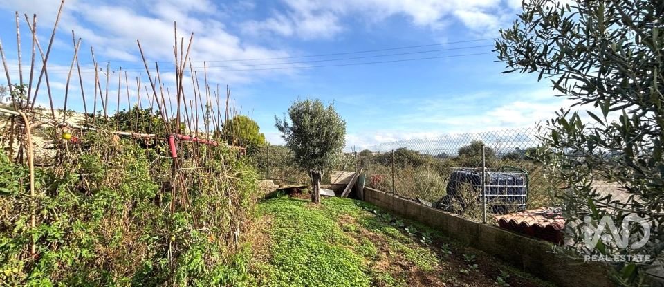Terreny urbà de 400 m² a Sant Jaume dels Domenys (43713)