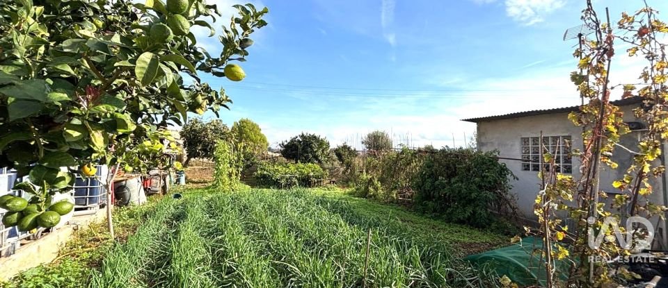 Terreny urbà de 400 m² a Sant Jaume dels Domenys (43713)