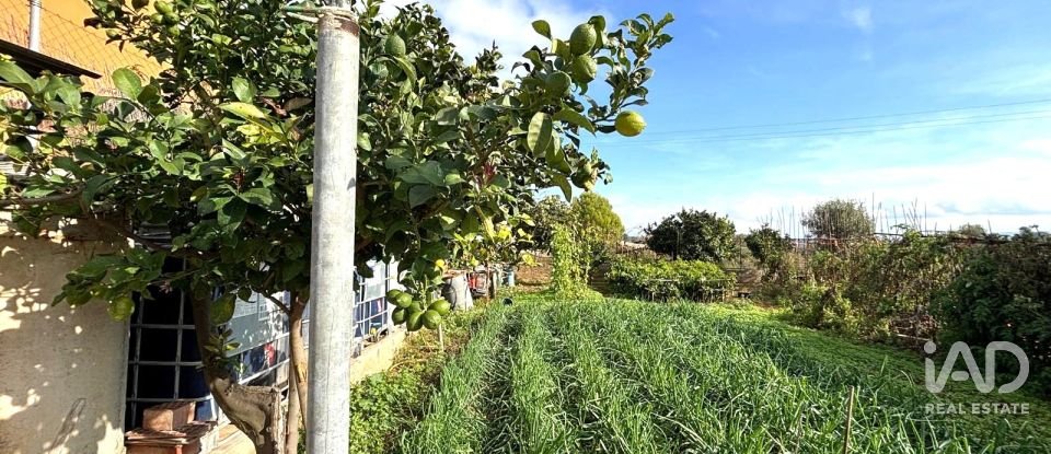 Terreny urbà de 400 m² a Sant Jaume dels Domenys (43713)