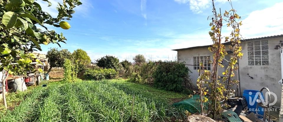 Terreny urbà de 400 m² a Sant Jaume dels Domenys (43713)