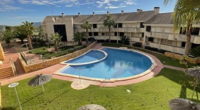 Piso 2 habitaciones de 97 m² en La Serreta (03679)