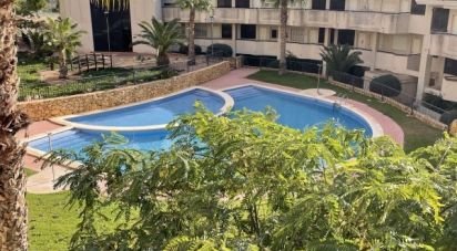 Piso 2 habitaciones de 97 m² en La Serreta (03679)