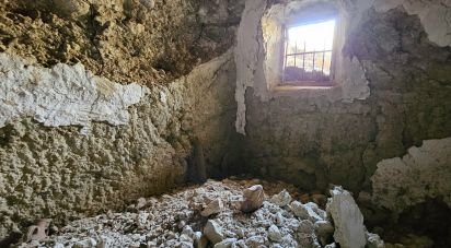 Land of 22,500 m² in Illar (04431)