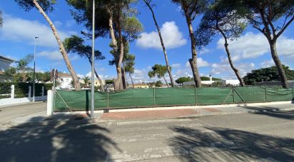 Land of 1,131 m² in Chiclana de la Frontera (11130)