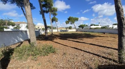 Land of 1,131 m² in Chiclana de la Frontera (11130)