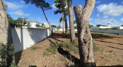 Land of 1,131 m² in Chiclana de la Frontera (11130)