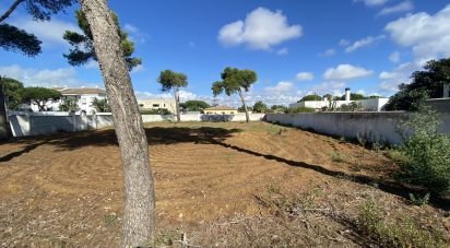 Land of 1,131 m² in Chiclana de la Frontera (11130)