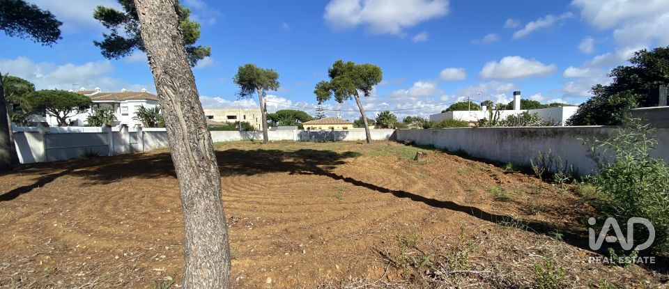 Terreny de 1.131 m² a Chiclana de la Frontera (11130)