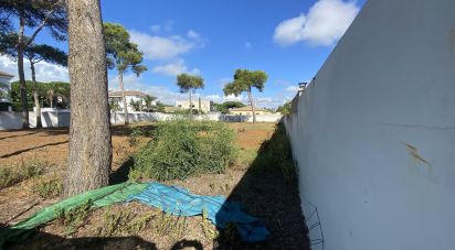 Land of 1,131 m² in Chiclana de la Frontera (11130)