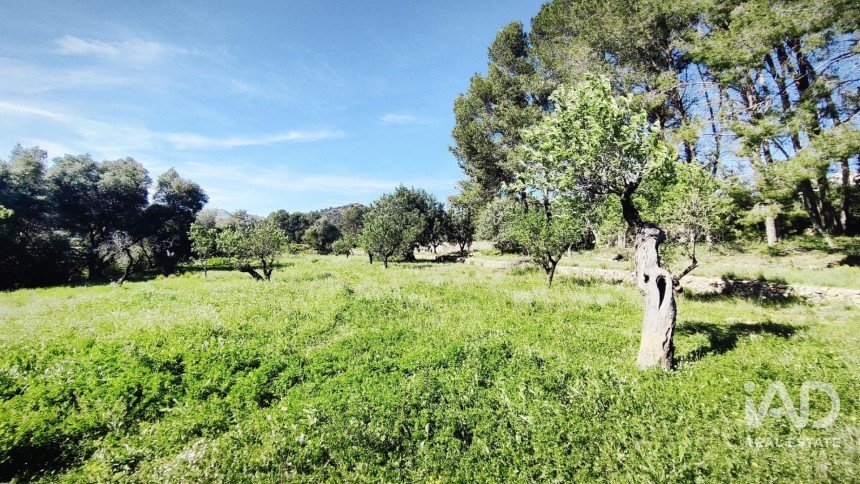 Terrain de 12 510 m² à Murla (03792)