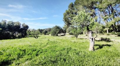 Land of 12,510 m² in Murla (03792)