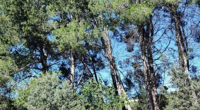 Land of 12,510 m² in Murla (03792)