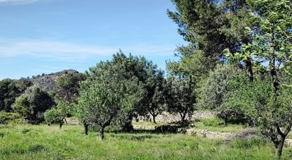 Land of 12,510 m² in Murla (03792)