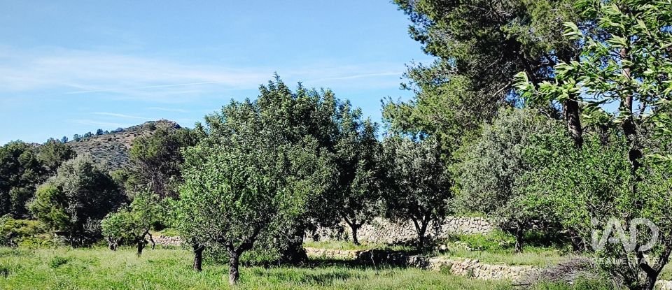 Terrain de 12 510 m² à Murla (03792)