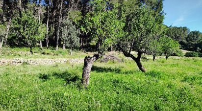 Land of 12,510 m² in Murla (03792)