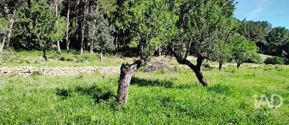 Terrain de 12 510 m² à Murla (03792)