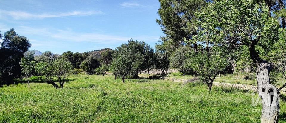 Terrain de 12 510 m² à Murla (03792)