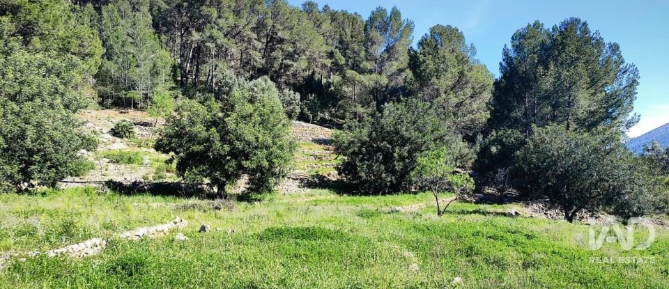 Terrain de 12 510 m² à Murla (03792)