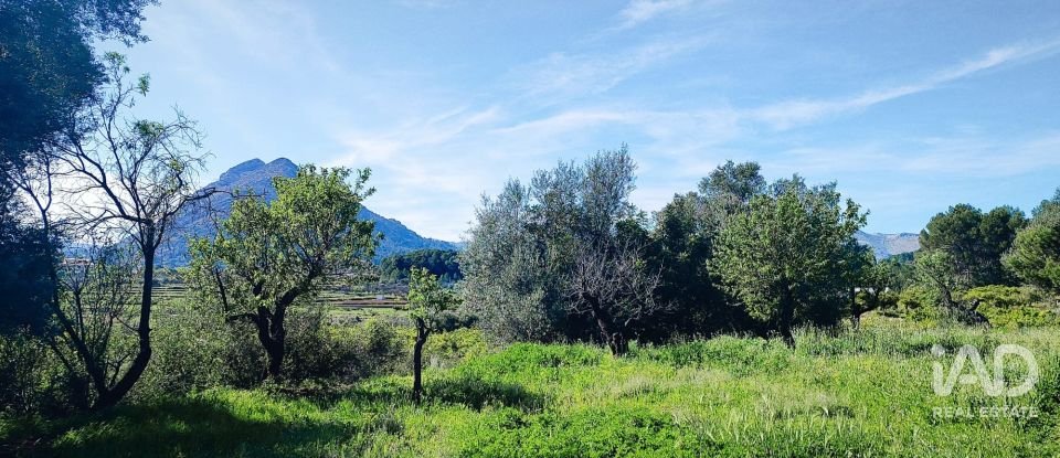 Terrain de 12 510 m² à Murla (03792)