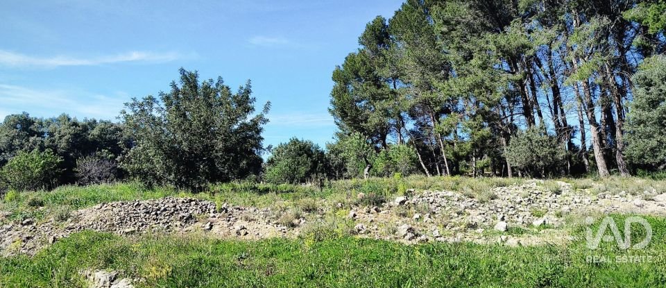 Terrain de 12 510 m² à Murla (03792)