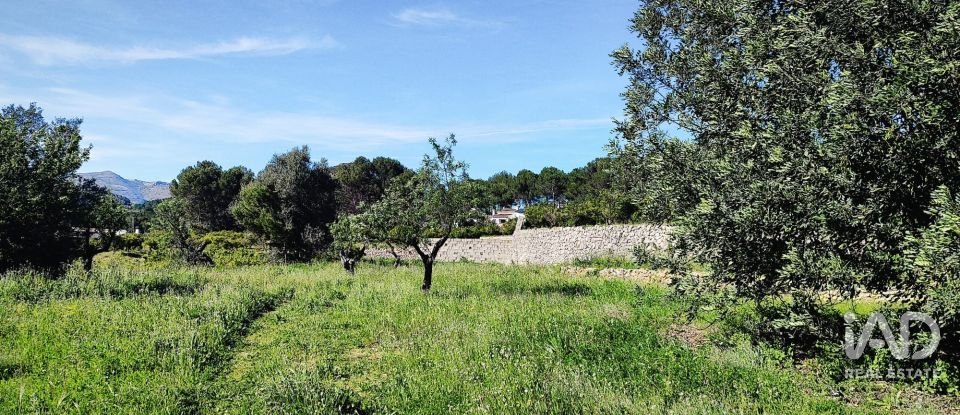 Terrain de 12 510 m² à Murla (03792)