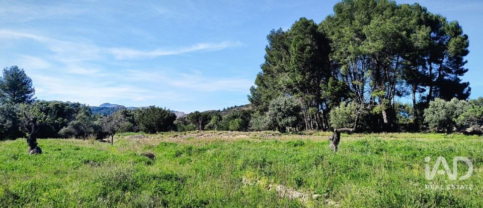 Terrain de 12 510 m² à Murla (03792)