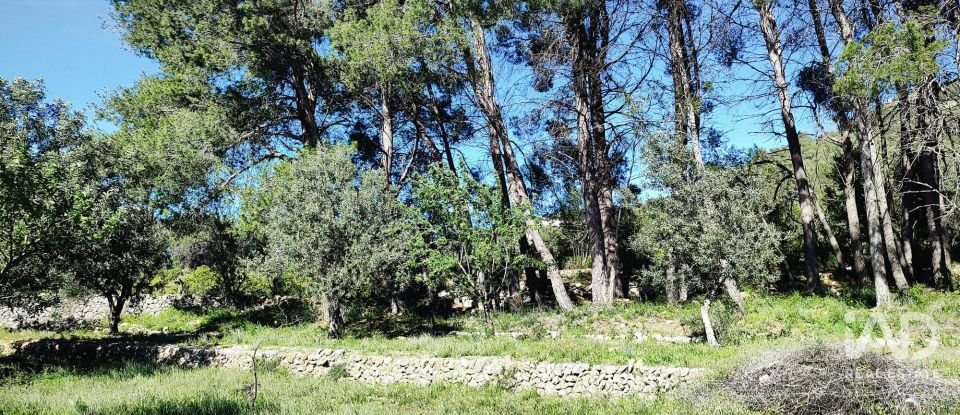 Terrain de 12 510 m² à Murla (03792)