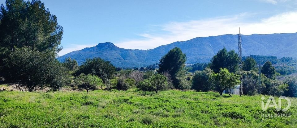 Terrain de 12 510 m² à Murla (03792)