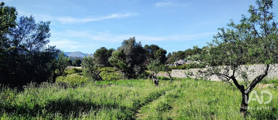 Terrain de 12 510 m² à Murla (03792)