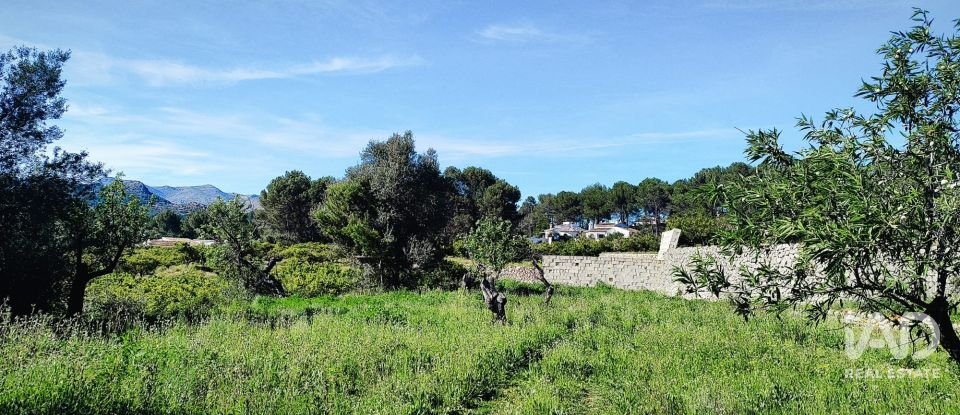 Terrain de 12 510 m² à Murla (03792)