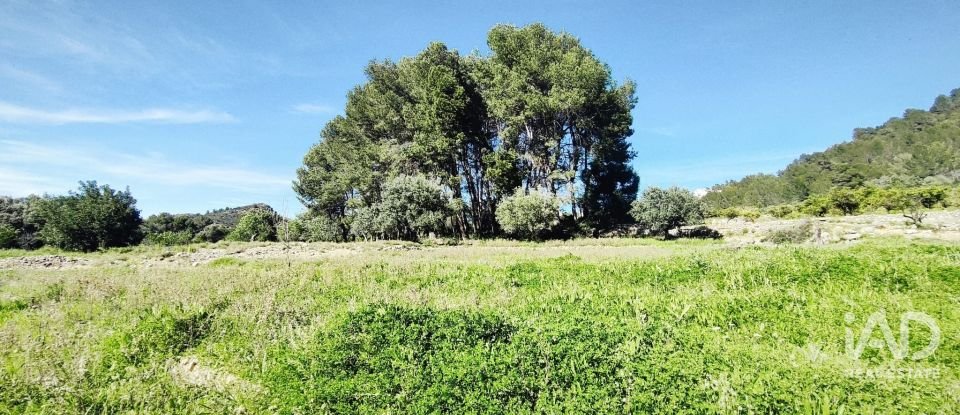 Terrain de 12 510 m² à Murla (03792)