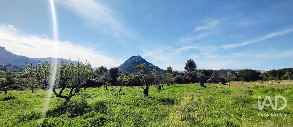 Terrain de 12 510 m² à Murla (03792)