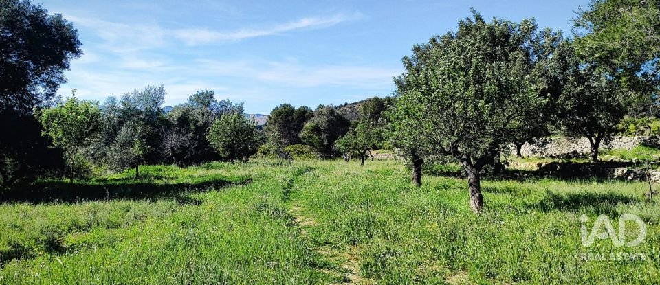 Terrain de 12 510 m² à Murla (03792)