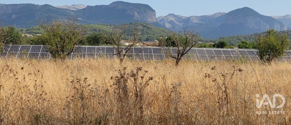 Land of 19,777 m² in Santa María del Camí (07320)