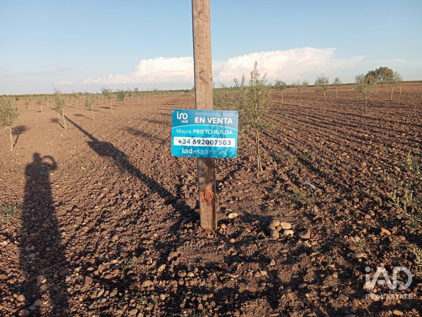 Terreno agricola de 50.000 m² en Cañada Rosal (41439)