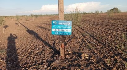 Farm land of 50,000 m² in Cañada Rosal (41439)