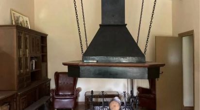 Land of 39,245 m² in Aldearrodrigo (37110)