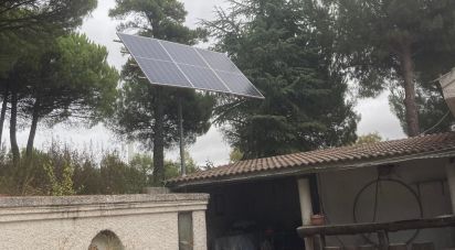 Land of 39,245 m² in Aldearrodrigo (37110)