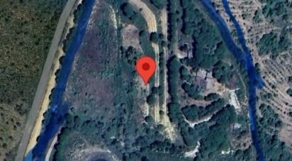 Land of 39,245 m² in Aldearrodrigo (37110)