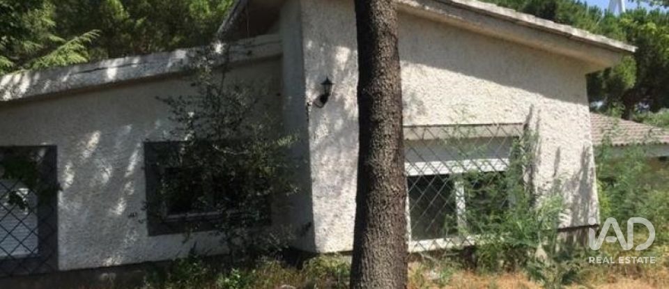 Land of 39,245 m² in Aldearrodrigo (37110)